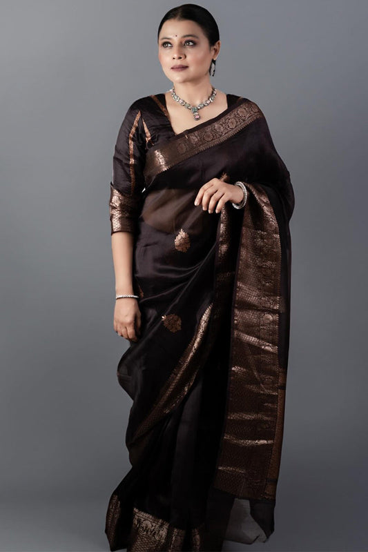 Prettiest Brown Soft Silk Saree With Designer Blouse Piece