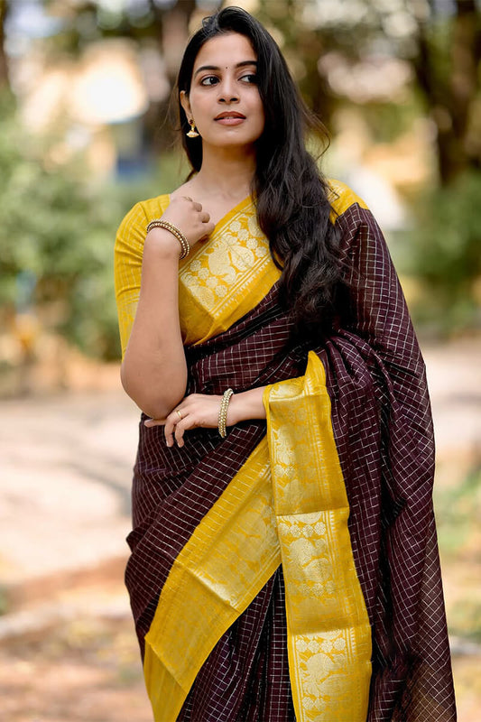 Gleaming Brown Soft Silk Saree With Demure Blouse Piece