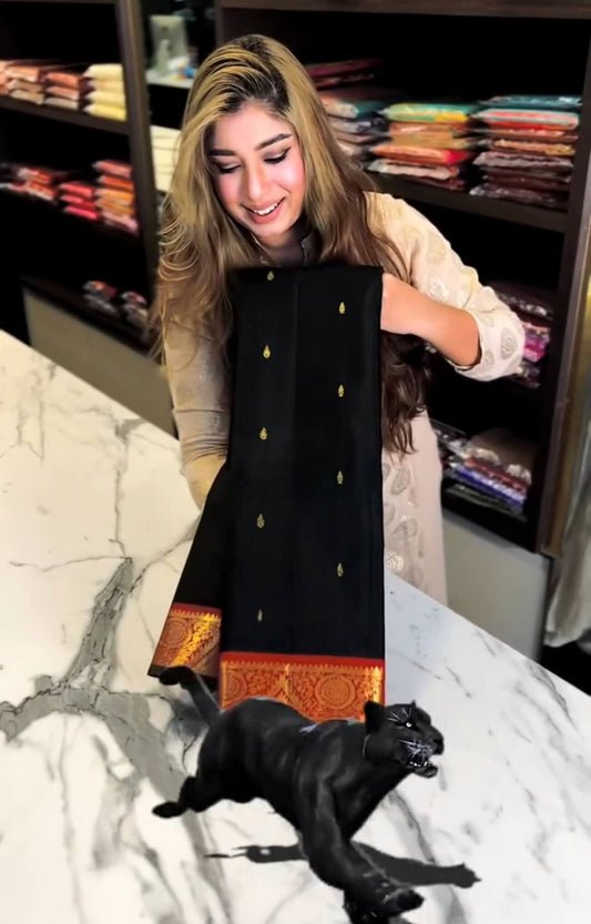 Petrichor Black Soft Banarasi Silk Saree With Charming Blouse Piece