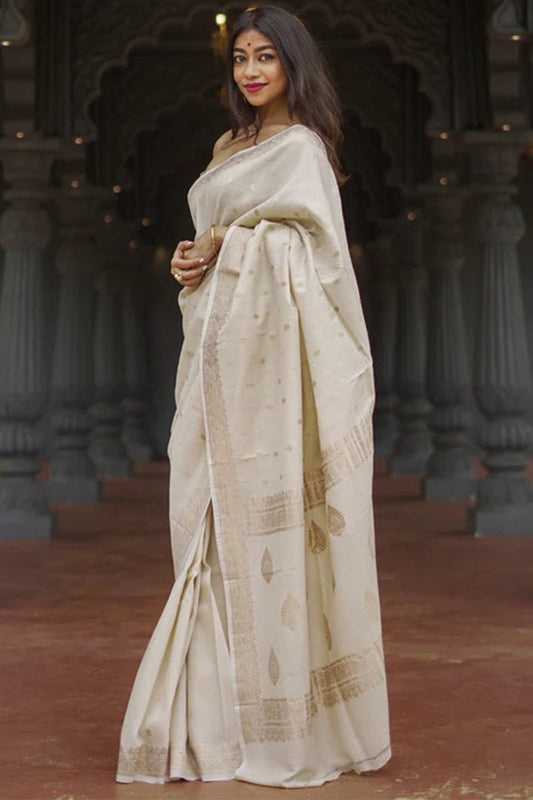 Beauteous Beige Linen Silk Saree With Desultory Blouse Piece