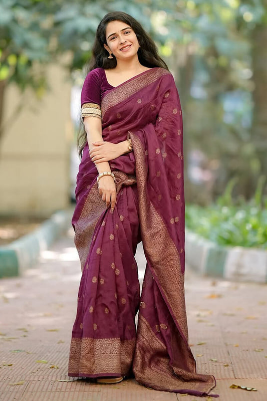 Gratifying Wine Soft Silk Saree With Enigmatic Blouse Piece