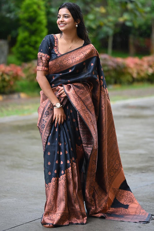 Enchanting Black Soft Silk Saree With Ethereal Blouse Piece