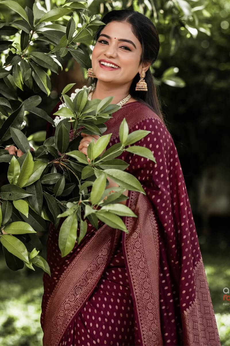 Nectarous Wine Soft Silk Saree With Delectable Blouse Piece