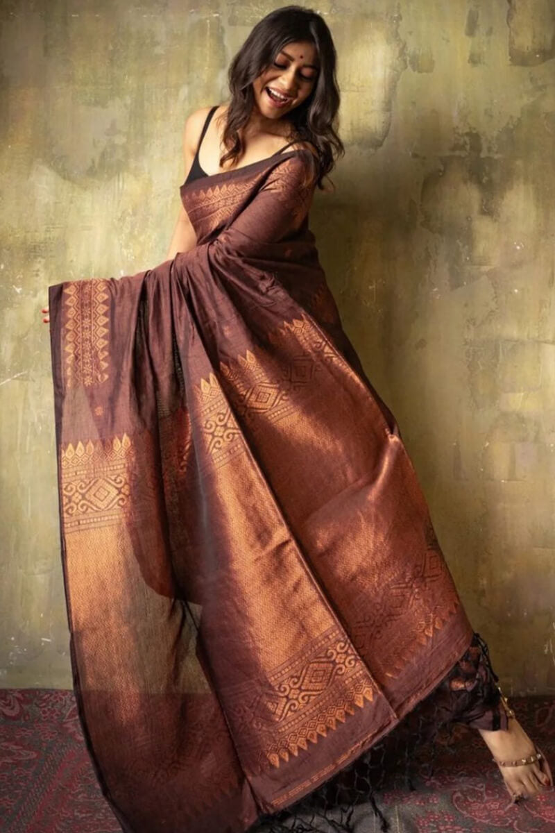 Girlish Brown Soft Silk Saree With Breathtaking Blouse Piece