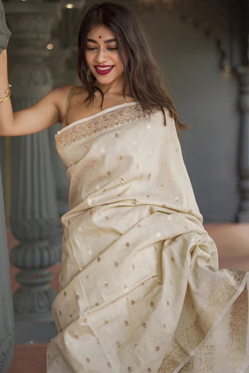 Beauteous Beige Linen Silk Saree With Desultory Blouse Piece