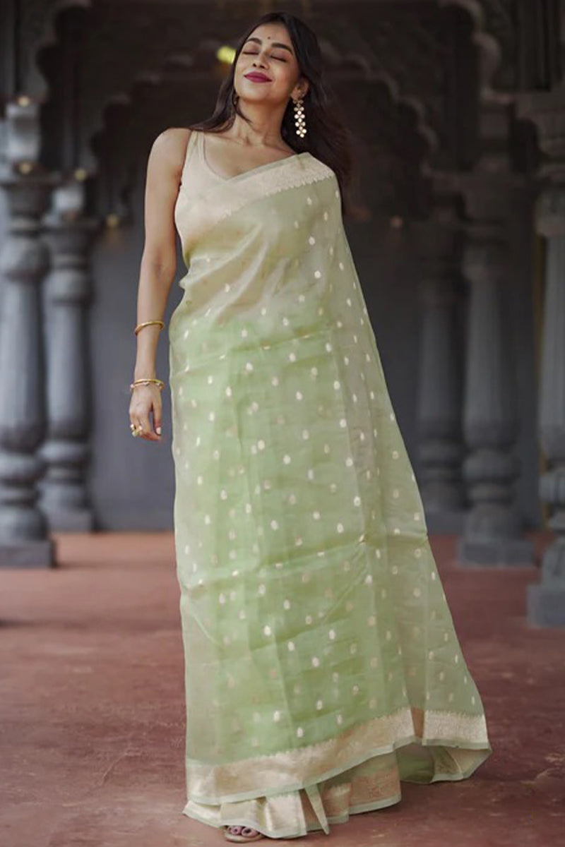 Splendiferous Pista Linen Silk Saree With Panoply Blouse Piece