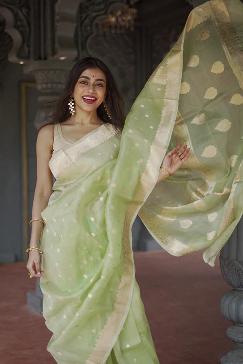 Splendiferous Pista Linen Silk Saree With Panoply Blouse Piece