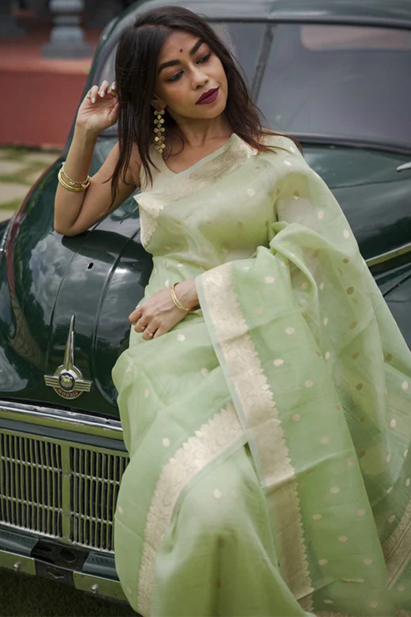 Splendiferous Pista Linen Silk Saree With Panoply Blouse Piece