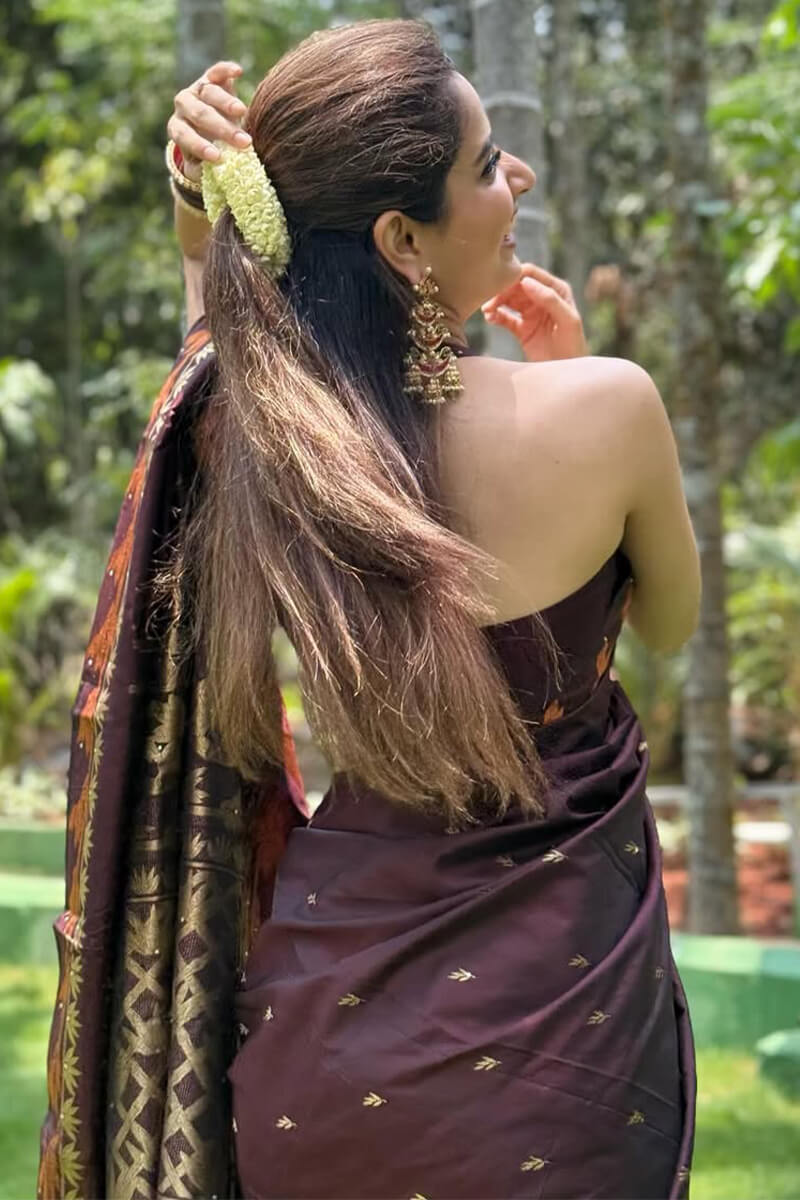 Magnificat Brown Soft Silk Saree With Diaphanous Blouse Piece