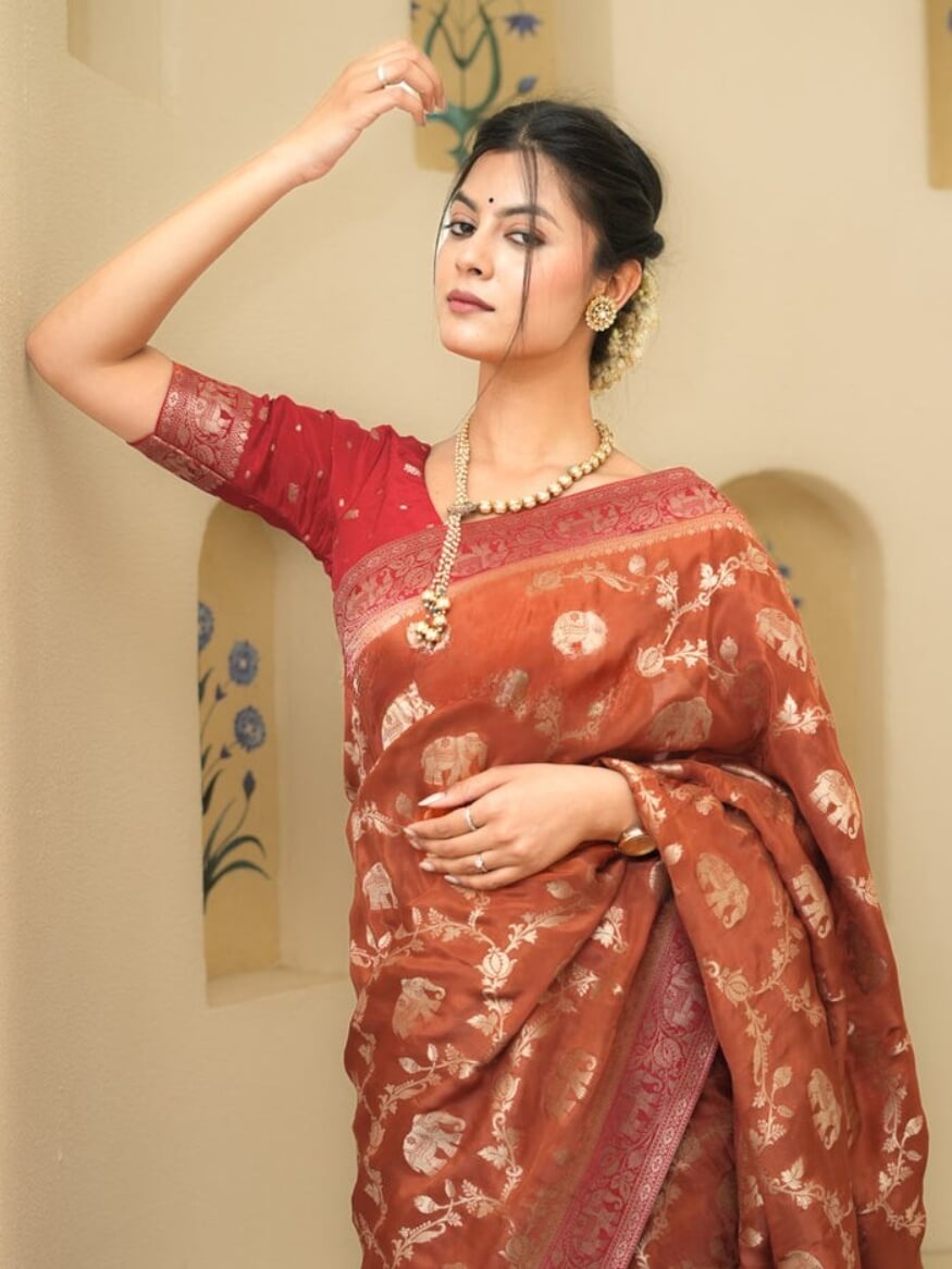 Divine Orange Soft Silk Saree With Rhapsodic Blouse Piece