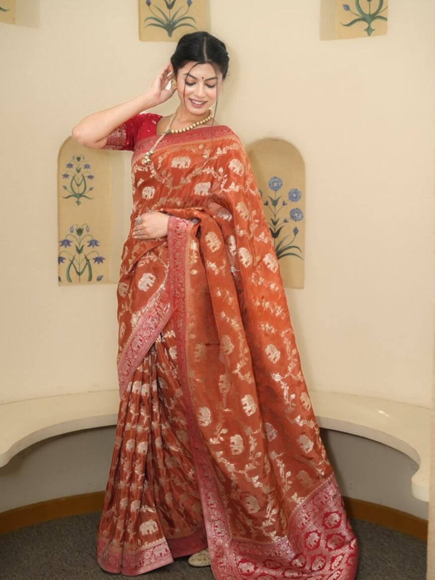 Divine Orange Soft Silk Saree With Rhapsodic Blouse Piece
