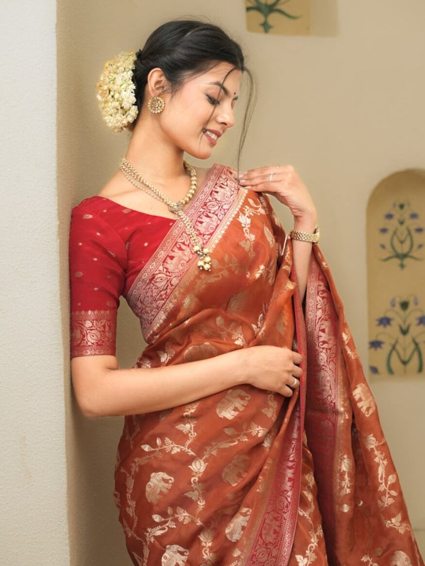 Divine Orange Soft Silk Saree With Rhapsodic Blouse Piece
