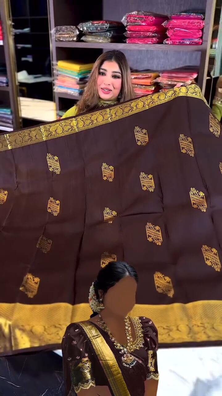 Vivacious Brown Soft Banarasi Silk Saree With Marvellous Blouse Piece
