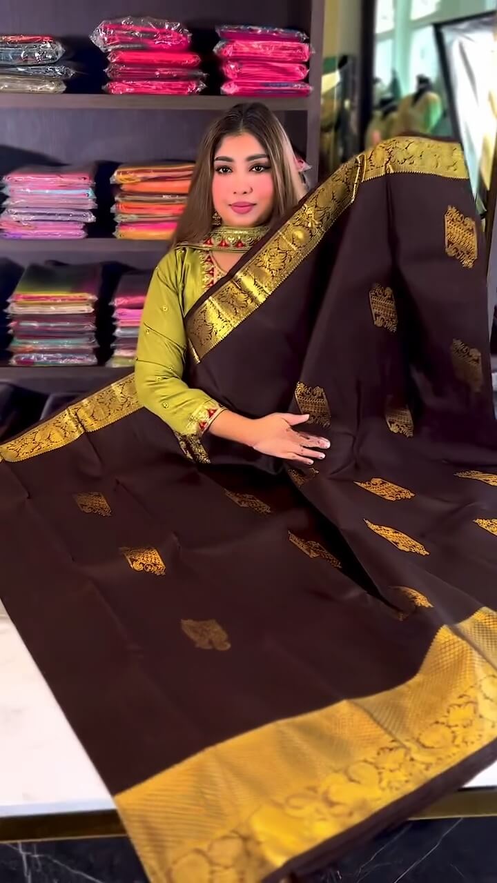 Vivacious Brown Soft Banarasi Silk Saree With Marvellous Blouse Piece