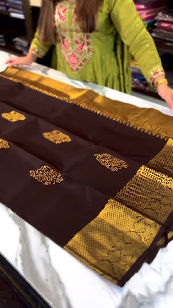 Vivacious Brown Soft Banarasi Silk Saree With Marvellous Blouse Piece