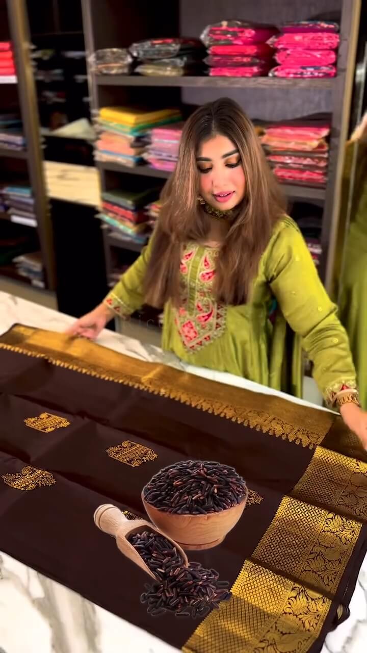 Vivacious Brown Soft Banarasi Silk Saree With Marvellous Blouse Piece