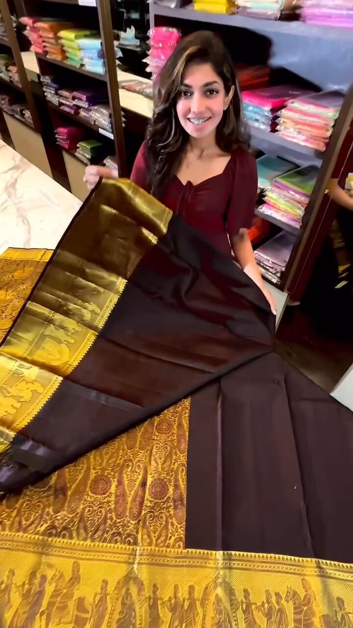 Beleaguer Brown Soft Banarasi Silk Saree With Nectarous Blouse Piece