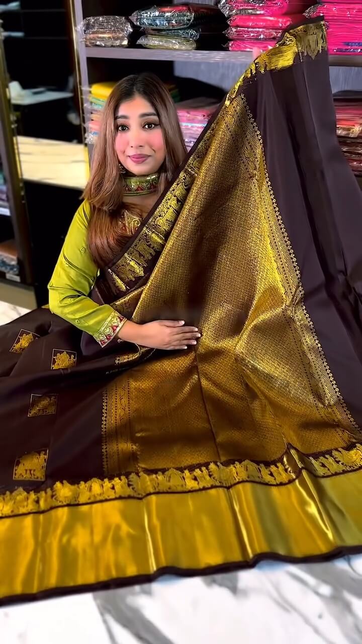 Seraglio Brown Soft Banarasi Silk Saree With Demesne Blouse Piece