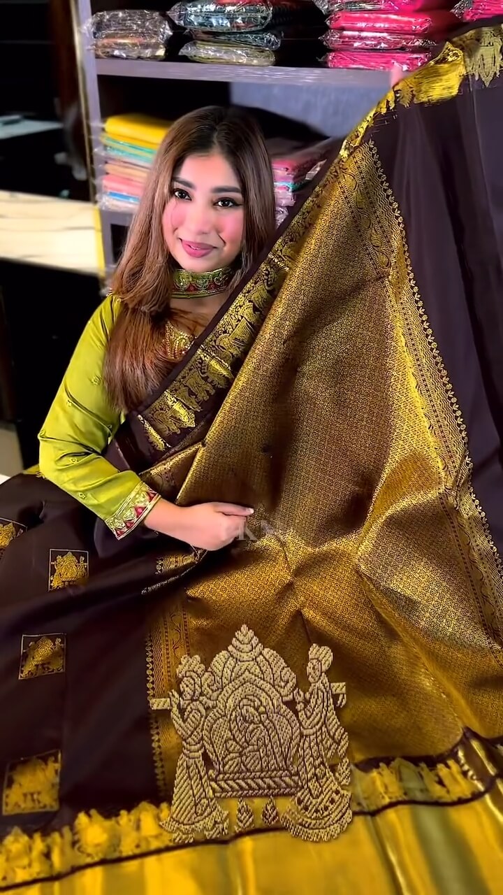 Seraglio Brown Soft Banarasi Silk Saree With Demesne Blouse Piece