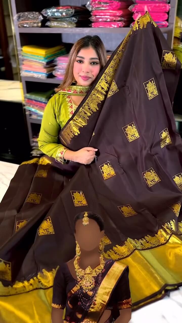 Seraglio Brown Soft Banarasi Silk Saree With Demesne Blouse Piece