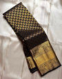 Dalliance Black Soft Banarasi Silk Saree With Dissemble Blouse Piece