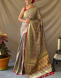 Admirable Grey Patola Silk Saree with Incredible Blouse Piece