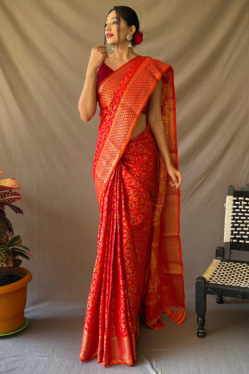 Unequalled Red Patola Silk Saree with Ratatouille Blouse Piece