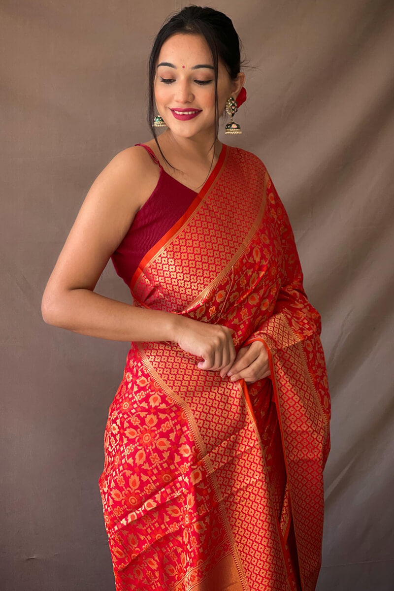 Unequalled Red Patola Silk Saree with Ratatouille Blouse Piece