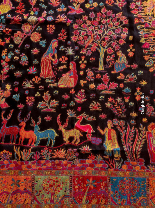 Extraordinary Black Pashmina Saree With Moiety Blouse Piece