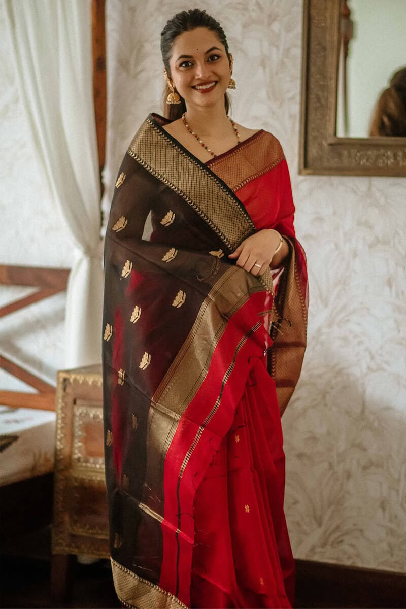 Lovely Red Cotton Silk Saree With Surpassing Blouse Piece