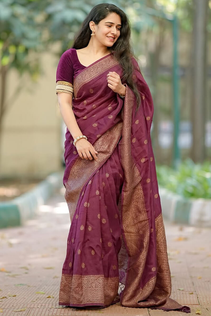 Gratifying Wine Soft Silk Saree With Enigmatic Blouse Piece