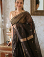 Diaphanous Black Cotton Silk Saree With Lagniappe Blouse Piece