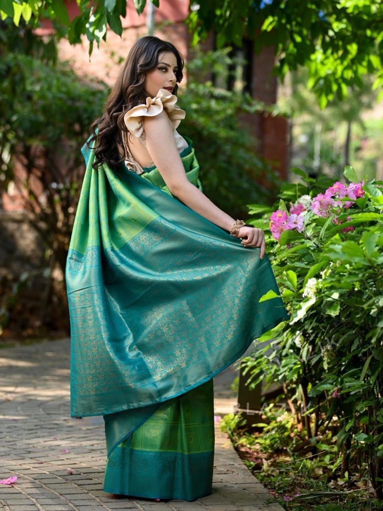 Fairytale Sea Green Soft Banarasi Silk Saree With Preferable Blouse Piece