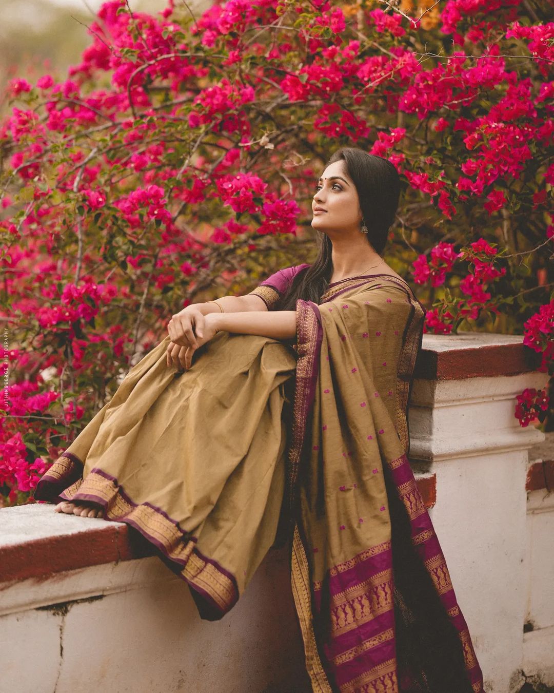 Sophisticated Dark Beige Soft Banarasi Silk Saree With Energetic Blouse Piece