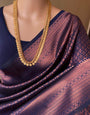 Appealing Navy Blue Soft Silk Saree With Demure Blouse Piece