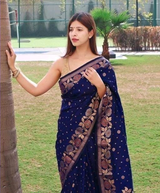 Petrichor Navy Blue Soft Banarasi Silk Saree With Super extravagant Blouse Piece