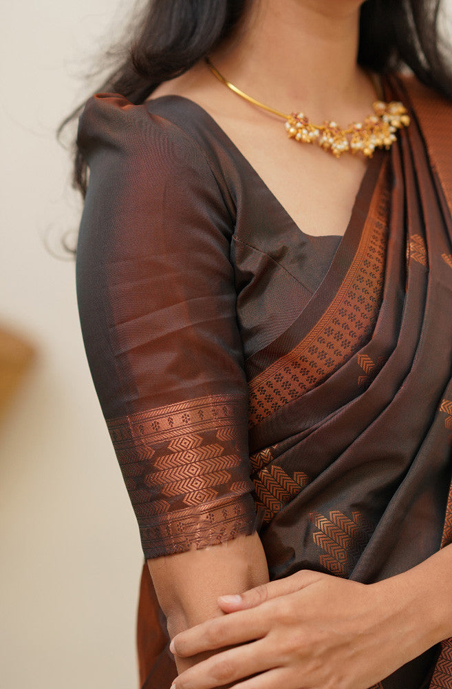 Gleaming Brown Soft Silk Saree With Flaunt Blouse Piece